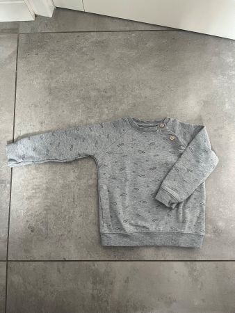 Bellybutton, Sweatshirt, Langarmshirt, grau, Gr. 74, w. Neu
