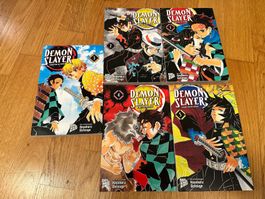 Demon Slayer Manga Kimetsu no Yaiba Band 1-5, guter Zustand