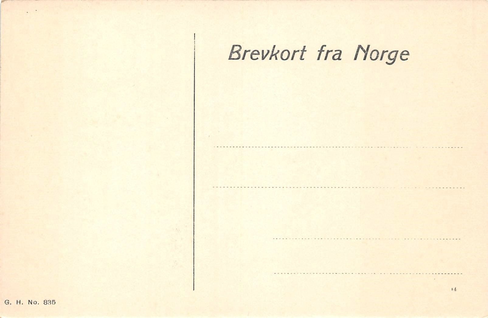 Cartoline postali: 2x Finse Bergensbanen – Usato da Ottikon b.Kemptth. venduto da Neptun1974 3