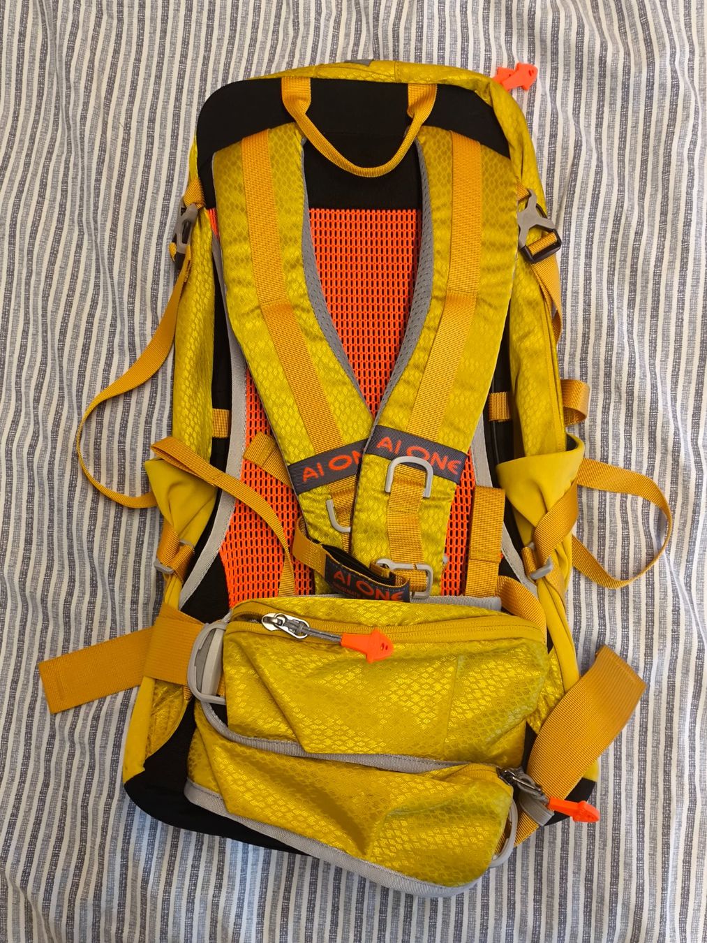 Zaini: Wanderrucksack 25L NEU – Nuovo (secondo la descrizione) da Scuol venduto da Pisoc2019 1