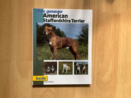 American Staffordshire Terrier - Buch