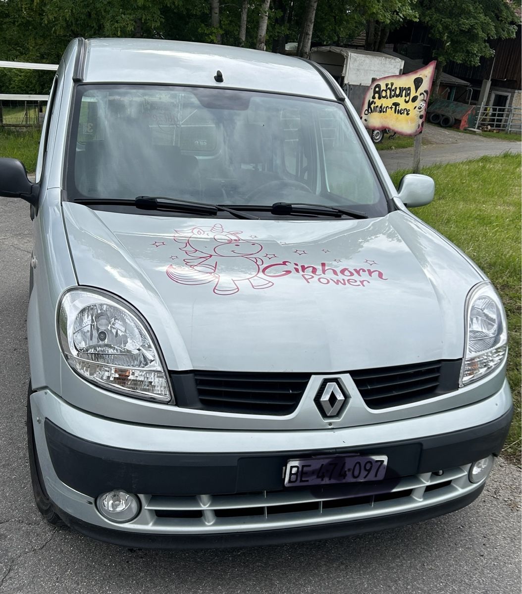 Renault Automobili: Renault Kangoo – Usato da Niederscherli venduto da dampfueli 1