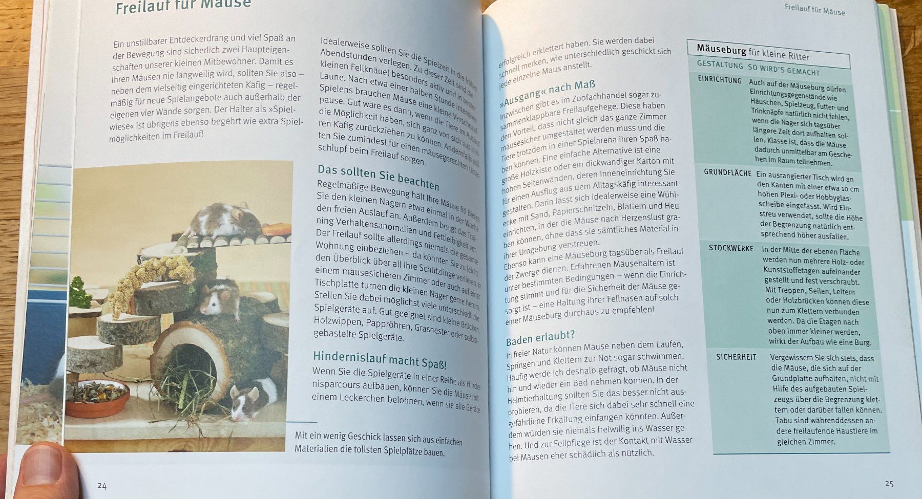 Libri: GU Ratgeber Mäuse | Tierratgeber – Usato da Aarau venduto da Chicca2006 3