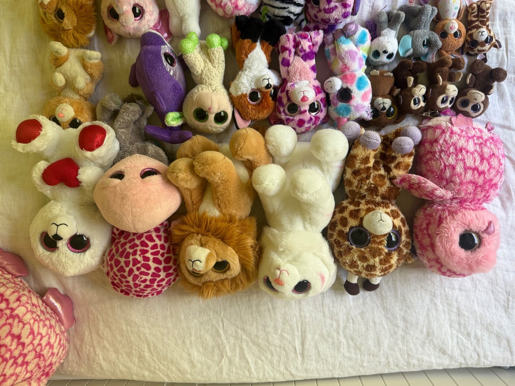 Ty Giocattoli: Beanie Boo Collection – Usato da Herrliberg venduto da ele_yzk8 1