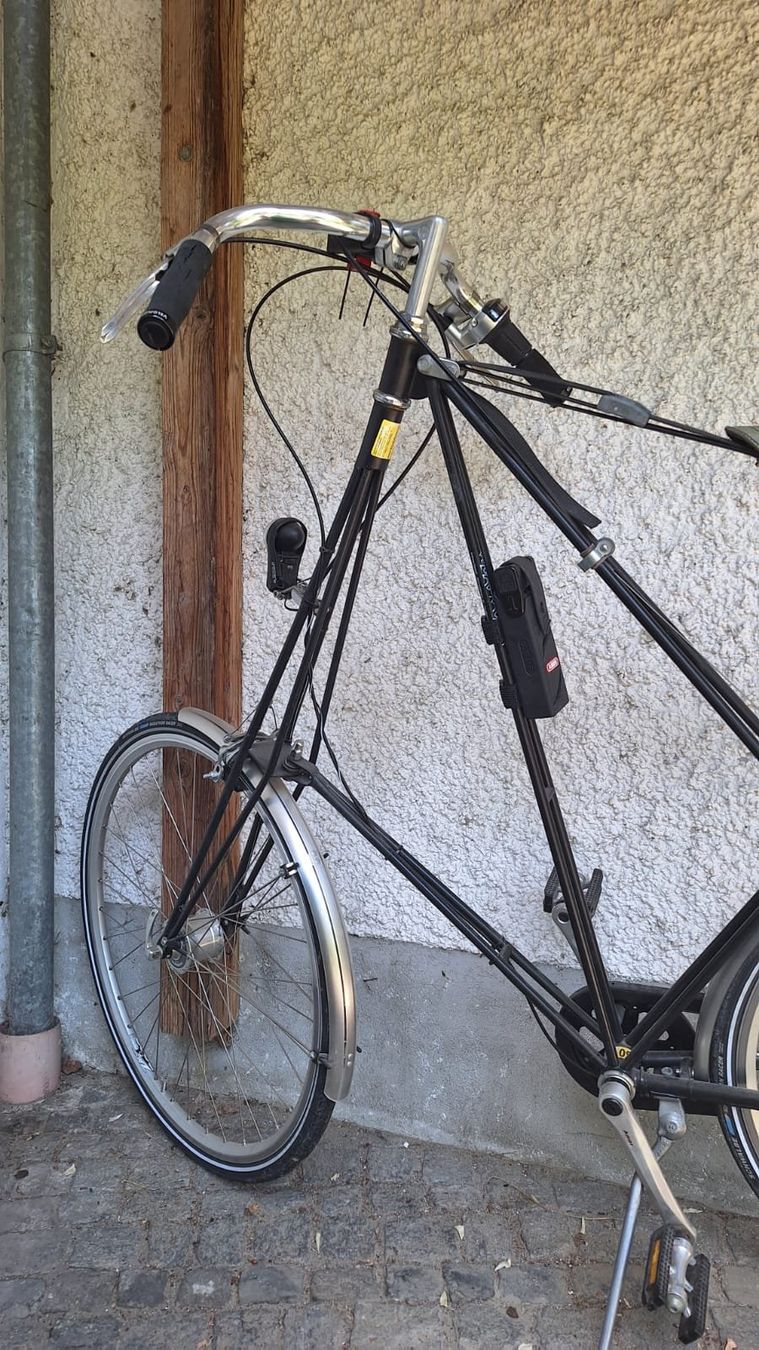 Biciclette: Pedersen Hängesattelvelo > ein Hingucker – Usato da Hinwil venduto da dun_tt2z 1
