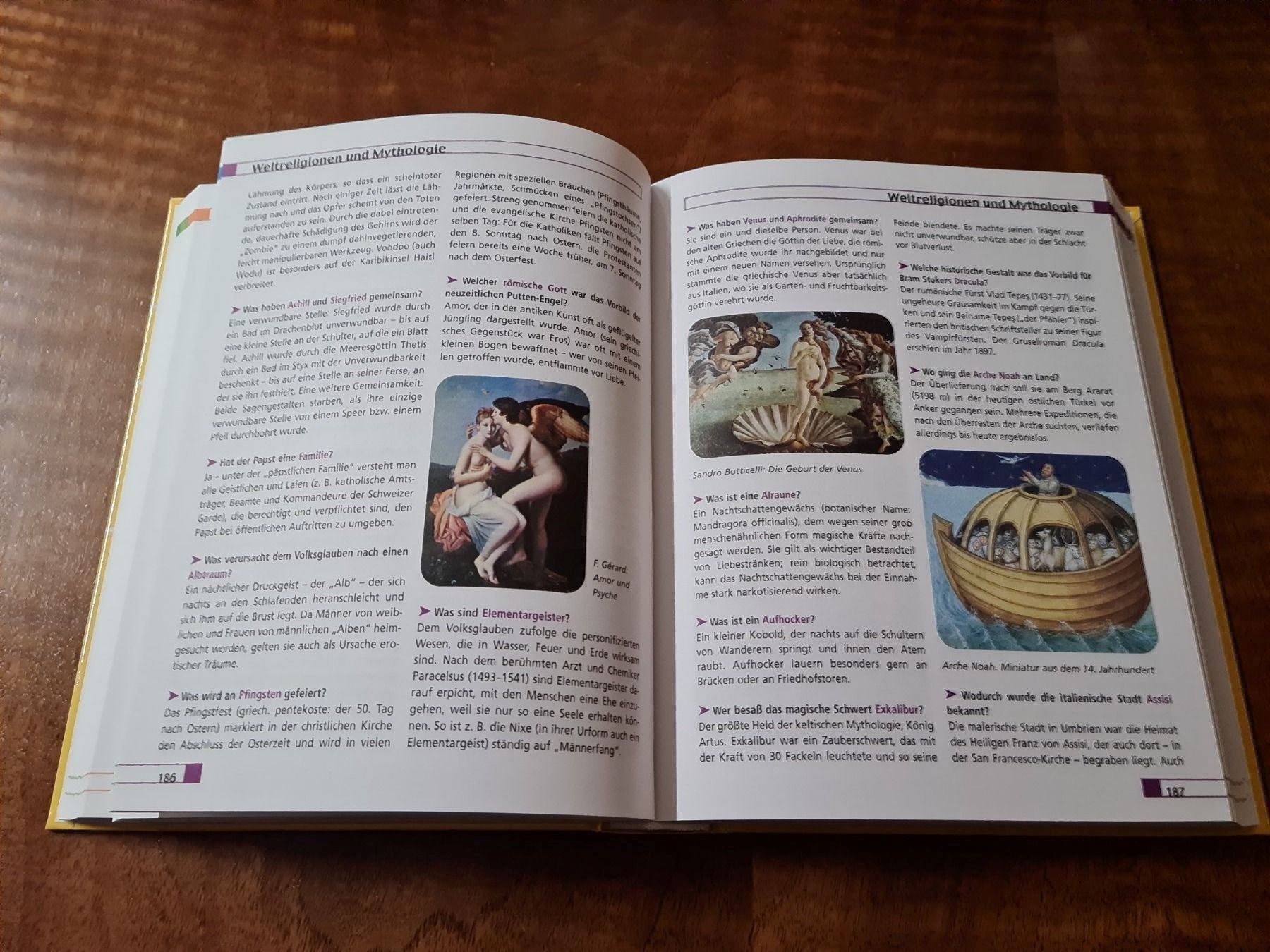 Libri: ...Modernen Allgemeinbildung – Usato da Erstfeld venduto da Mario_boe0 3