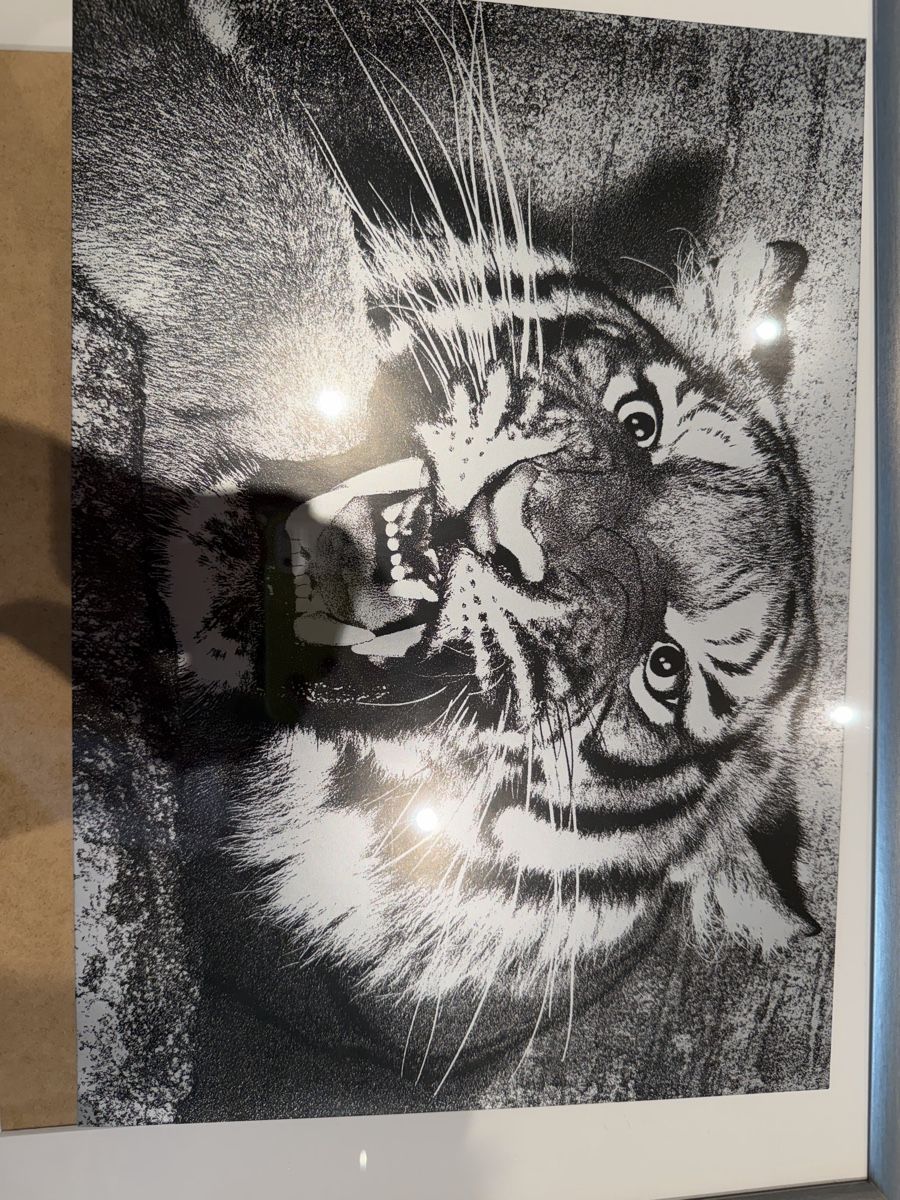 Poster & Bilder: Bilderrahmen IKEA Silverhöjden silber 40x50 cm – Gebraucht aus Küsnacht ZH von ToddyGinger 1