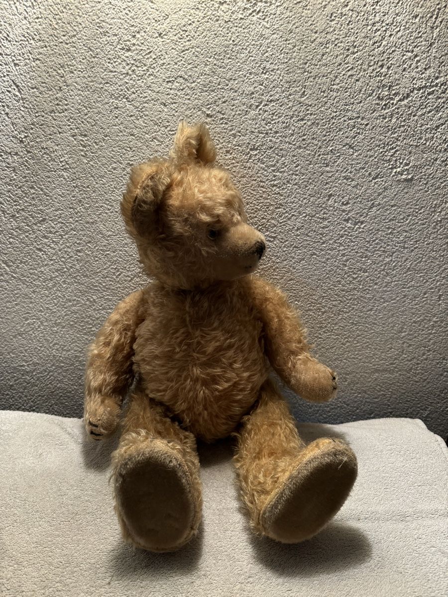 Spielzeuge: Teddybär – Gebraucht aus Binningen von kal_5nsj 1