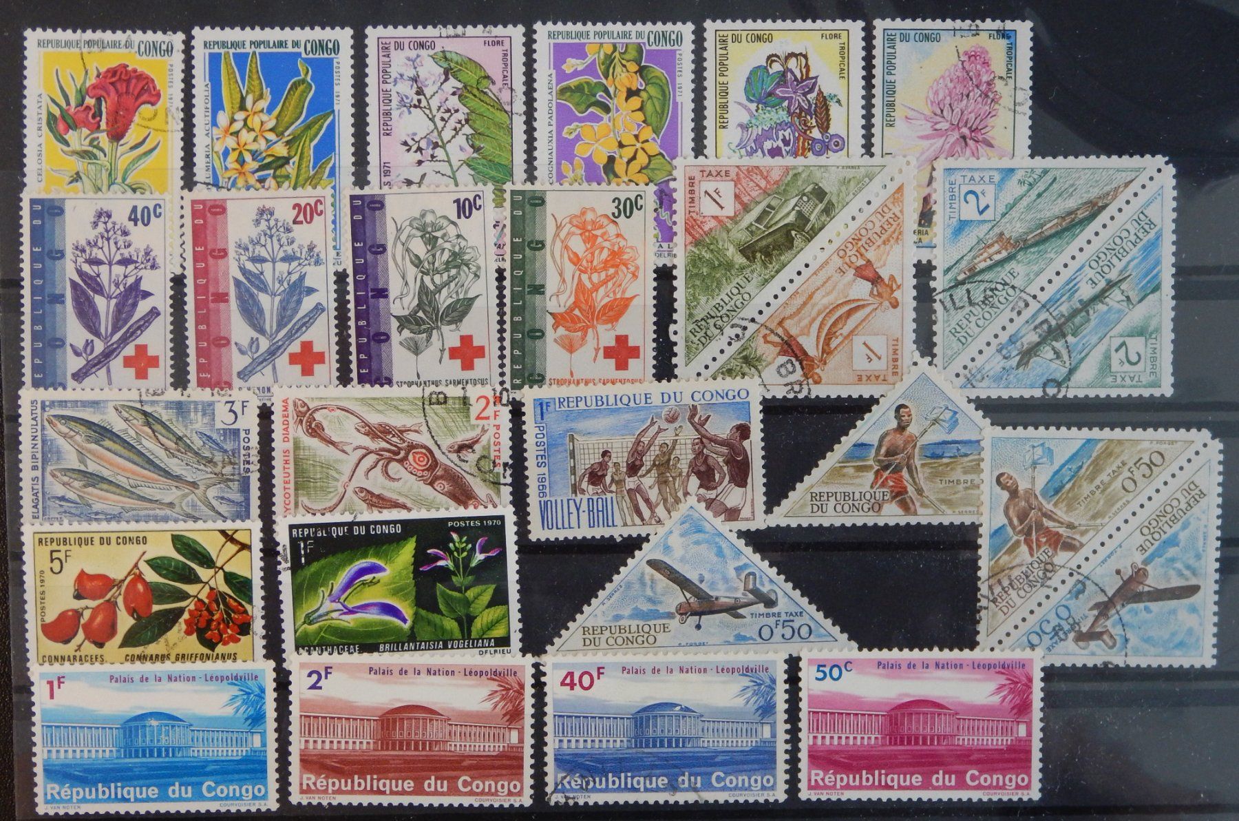 Tutti i francobolli: Congo Lot mit schönen Werten I – Usato da Zürich venduto da Muehlekauf