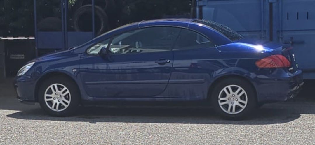 Peugeot Automobili: Peugeot 307 cc – Usato da Cheseaux-Lausanne venduto da mel_28vd 1