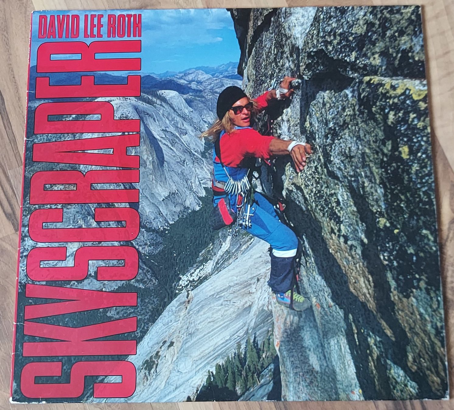 Dischi in vinile: LP - DAVID LEE ROTH - SKYSCRAPER – Usato da Steckborn venduto da Quo7