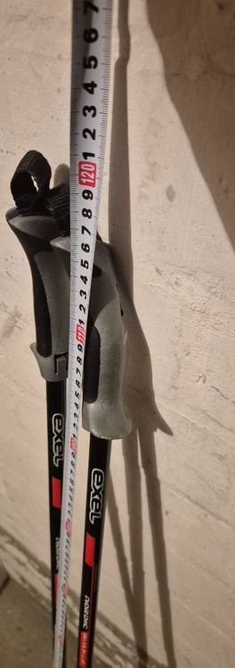 Exel Bastoncini da trekking: Exel Nordic Walking Stöcke 2stk. – Usato da Liebefeld venduto da DekoBrokland 3