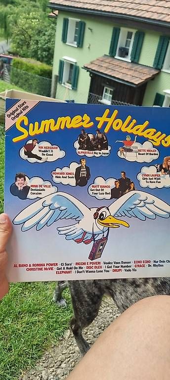 Schallplatten: Superholidays  LP (Compilation) – Gebraucht aus St. Gallen von chr_72ml