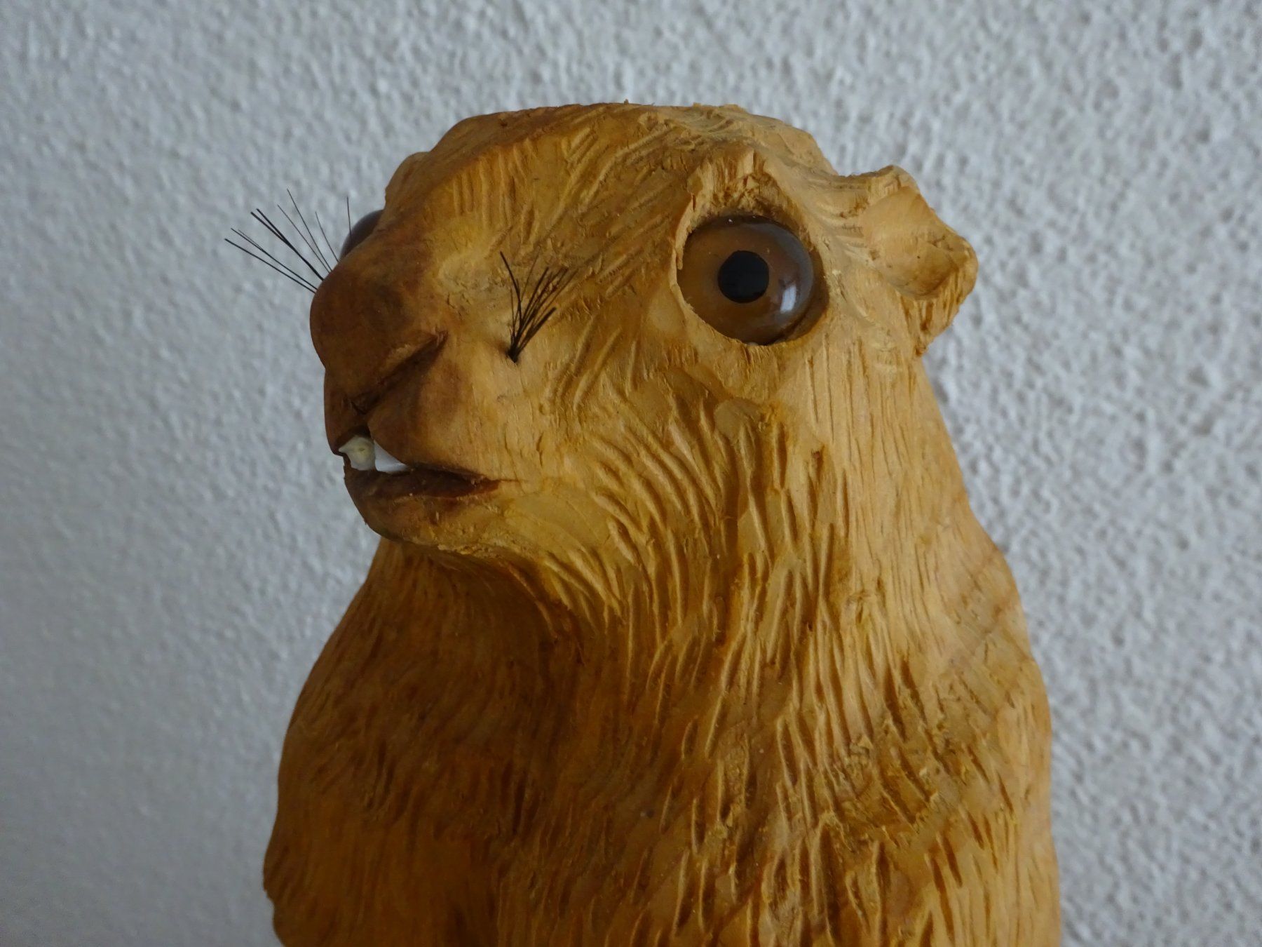 Sculture & Statue: Murmeltier Phil / Pennsylvania – Usato da Esslingen venduto da eintagammeer 3