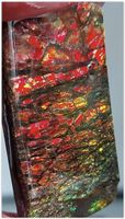 Ammolite Ammonite Coated Stone 37.8x20x5.3mm und 51ct