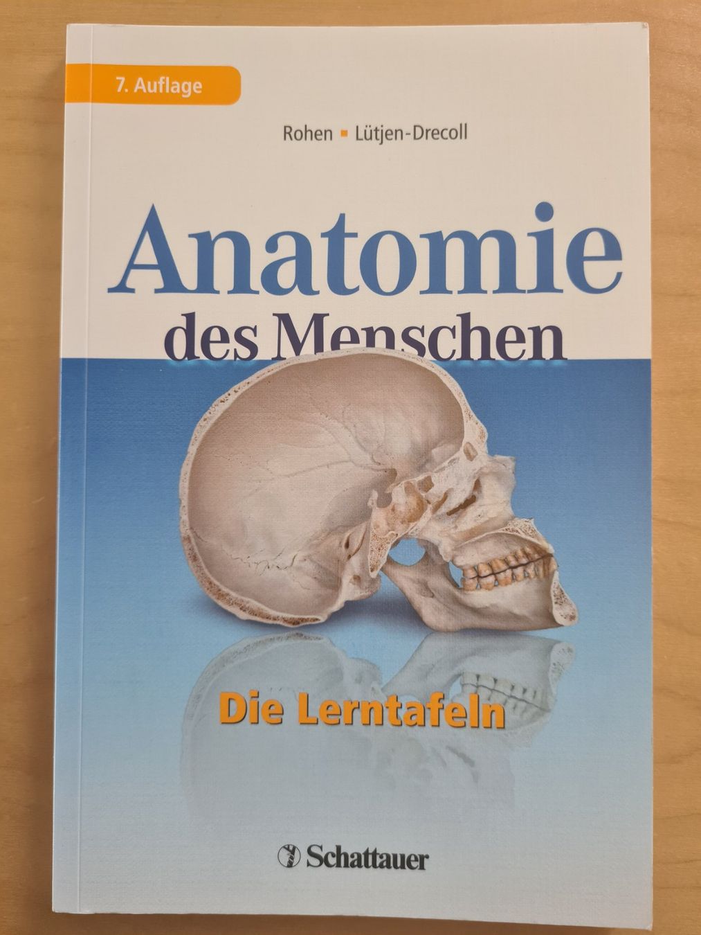 Libri: Anatomie des Menschen Die Lerntafeln – Usato da Oberwil BL venduto da Spieltopia
