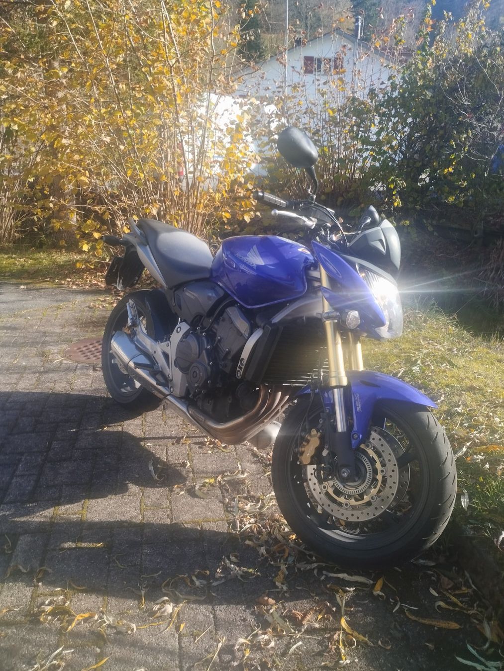 Honda Strada: Honda Hornet CB600FA 25kW Kat.-A – Usato da Fischenthal venduto da JURIGINAL 1