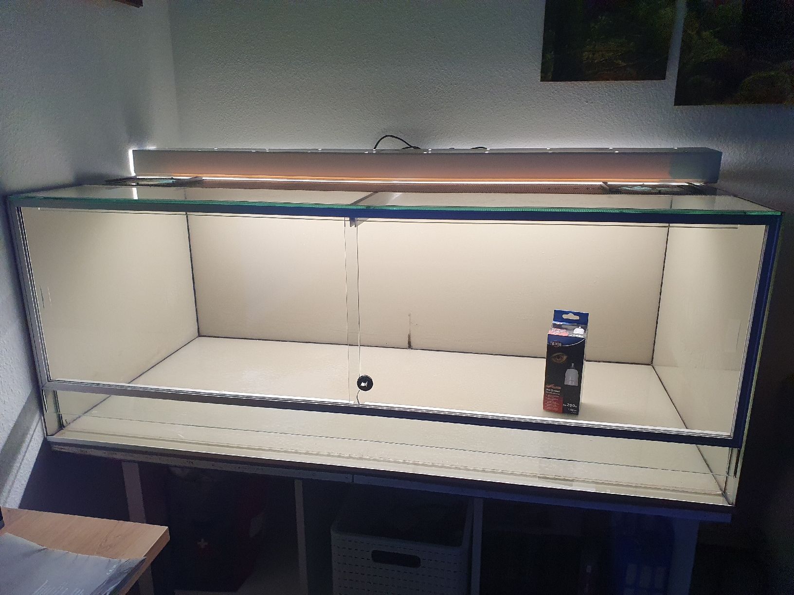 Terrario: Terrarium – Usato da Belp venduto da Liacheyenne