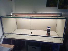 Terrarium