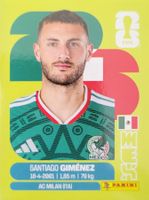 Panini FIFA World Cup MEX 16