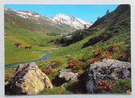 Davos, Bergsommer am Wanderweg nach Tschuggen
