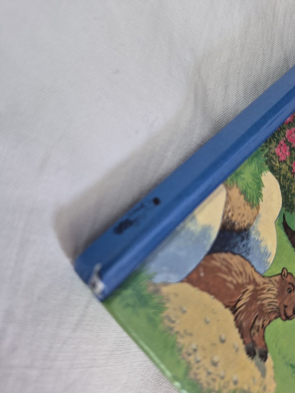 Bücher: Schönes Globi Buch  – Gebraucht aus cazis von meeroo12 3