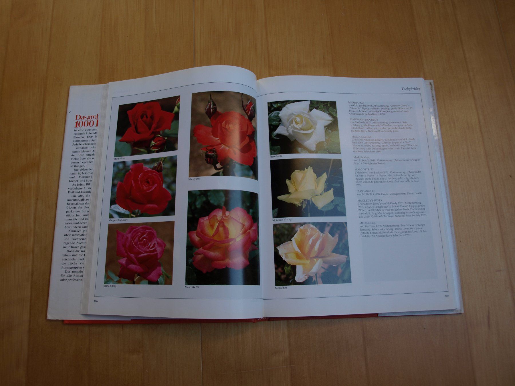 Bücher: Das grosse Buch der 1000 Rosen – Gebraucht aus Unterkulm von Poncho11 1