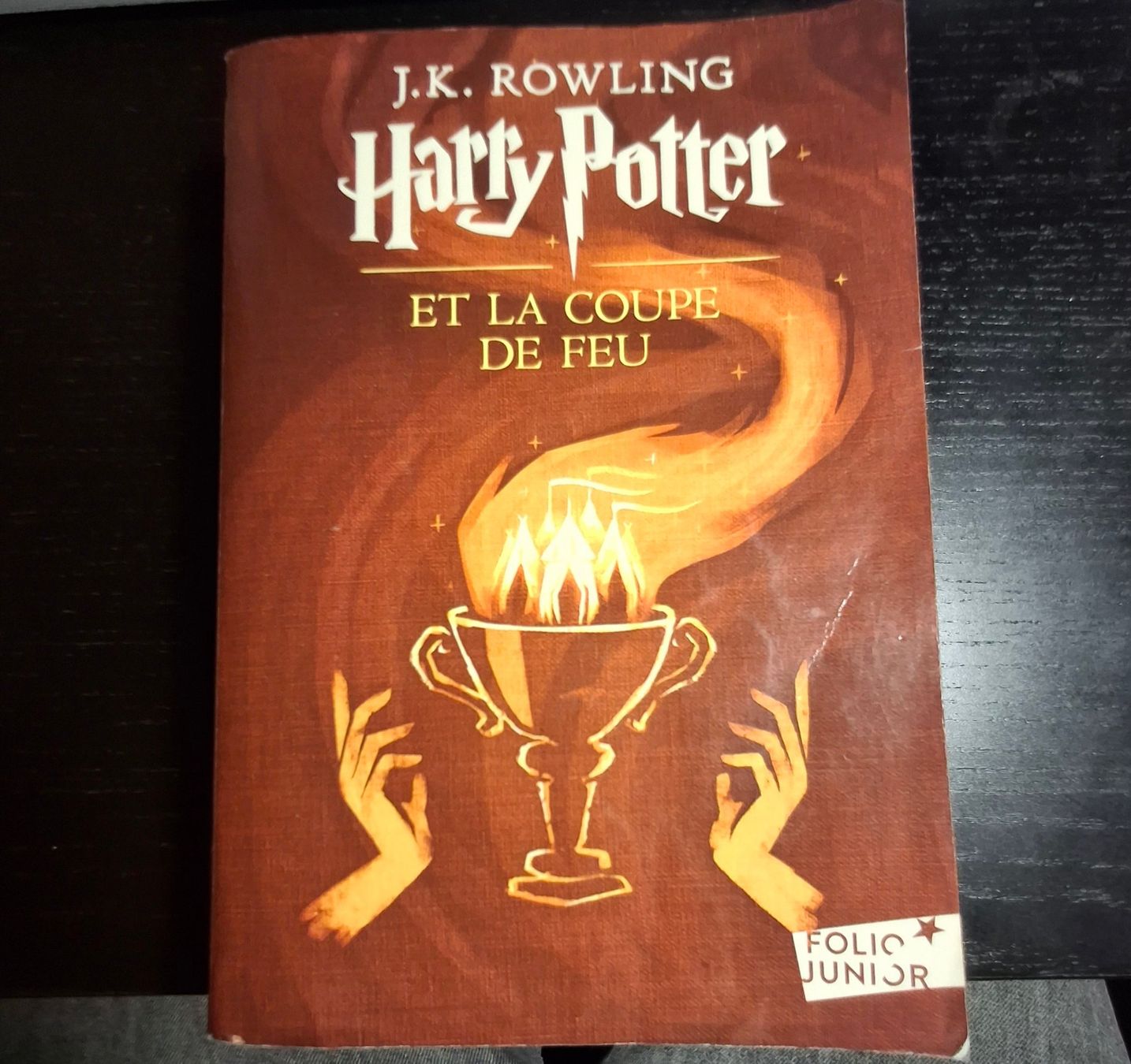 Libri: Collection Harry Potter à vendre 📚 – Usato da Chevenez venduto da emost 6