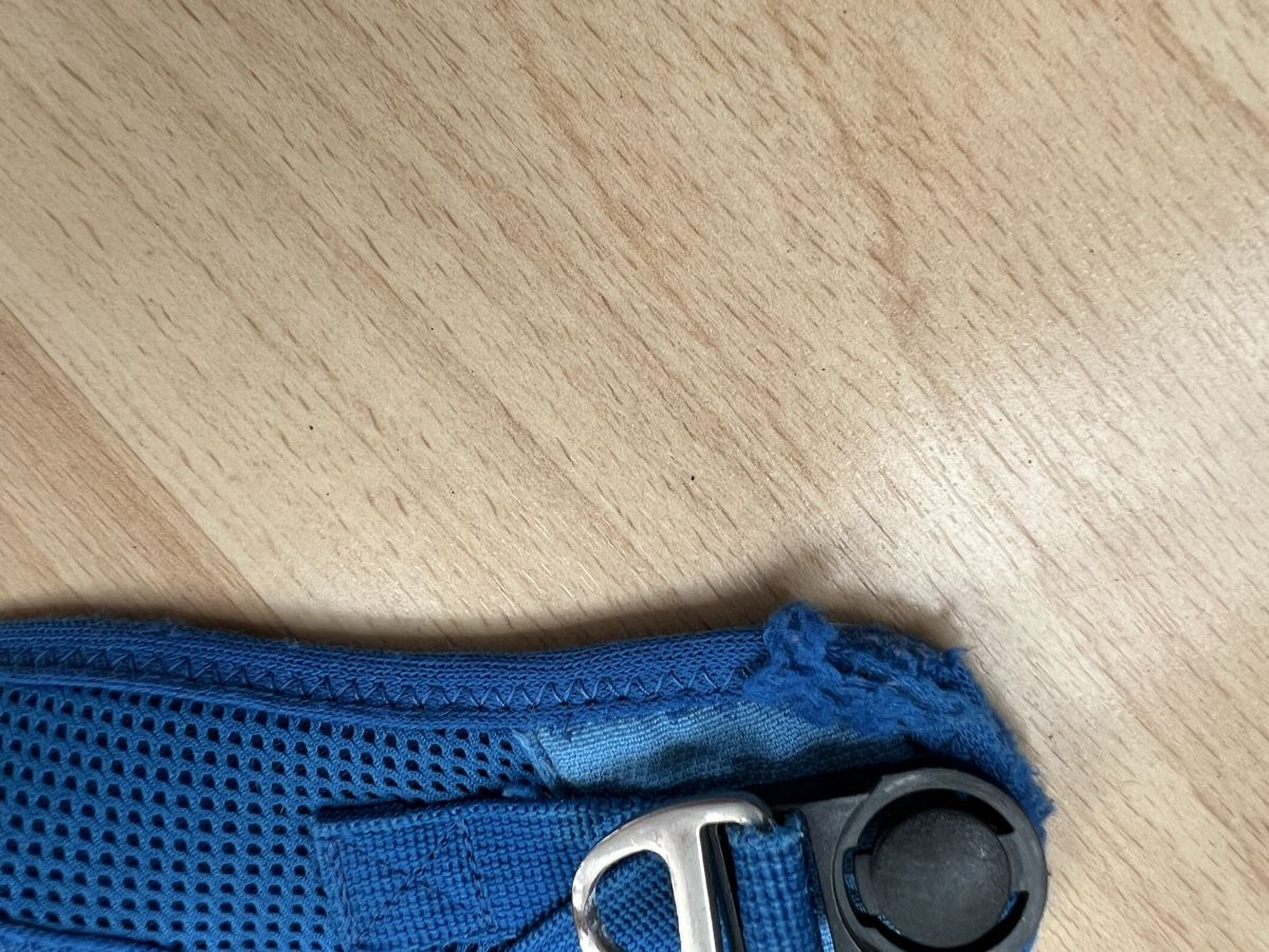 Kletterausrüstungen: Curli Hundegeschirr – Gebraucht aus Weite von nag_xn7g 7