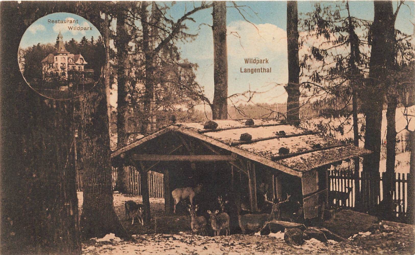 Cartoline postali: Restaurant wild park langenthal – Usato da Biasca venduto da Blenio71