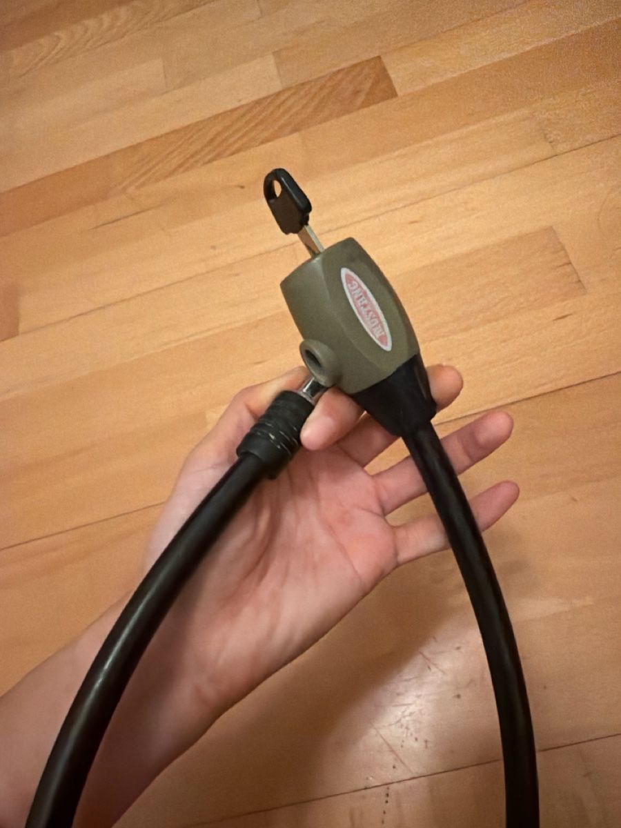 Lucchetti: Kabelschloss bicycle lock 60cm – Usato da Zürich venduto da arr_vq5w 1