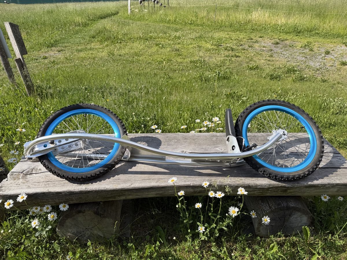Skateboards: Dirt Surfer Rollerboard, guter Zustand – Usato da Davos Wolfgang venduto da nostyle 4