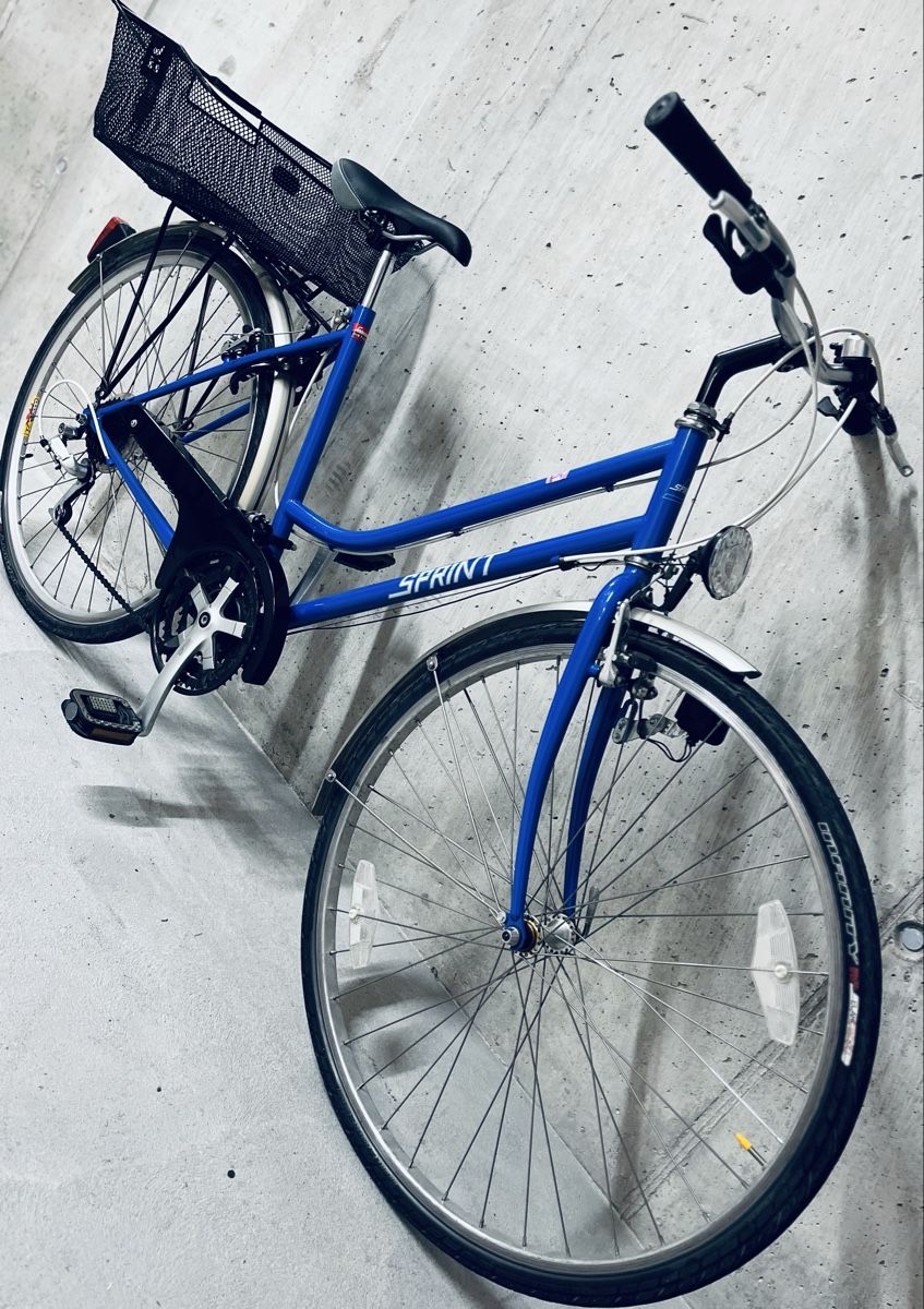 Biciclette: Damen Velo – Usato da Zürich venduto da Bidon3011 5