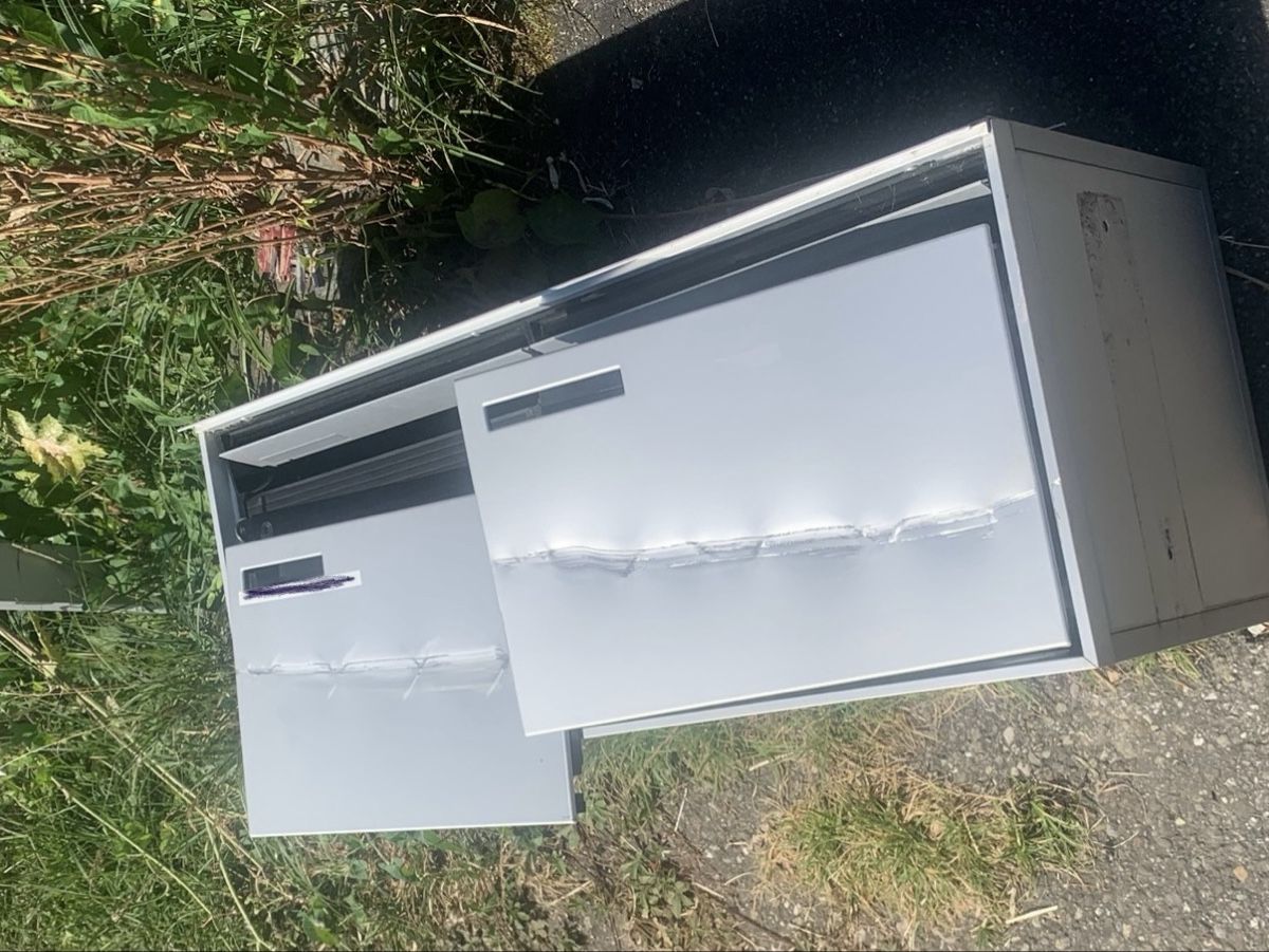 Altro per la casa: Doppel Briefkasten Marke Ernst Schweizer AG – Difettoso da Mosen venduto da Buellk1