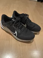 Nike pegasus 40