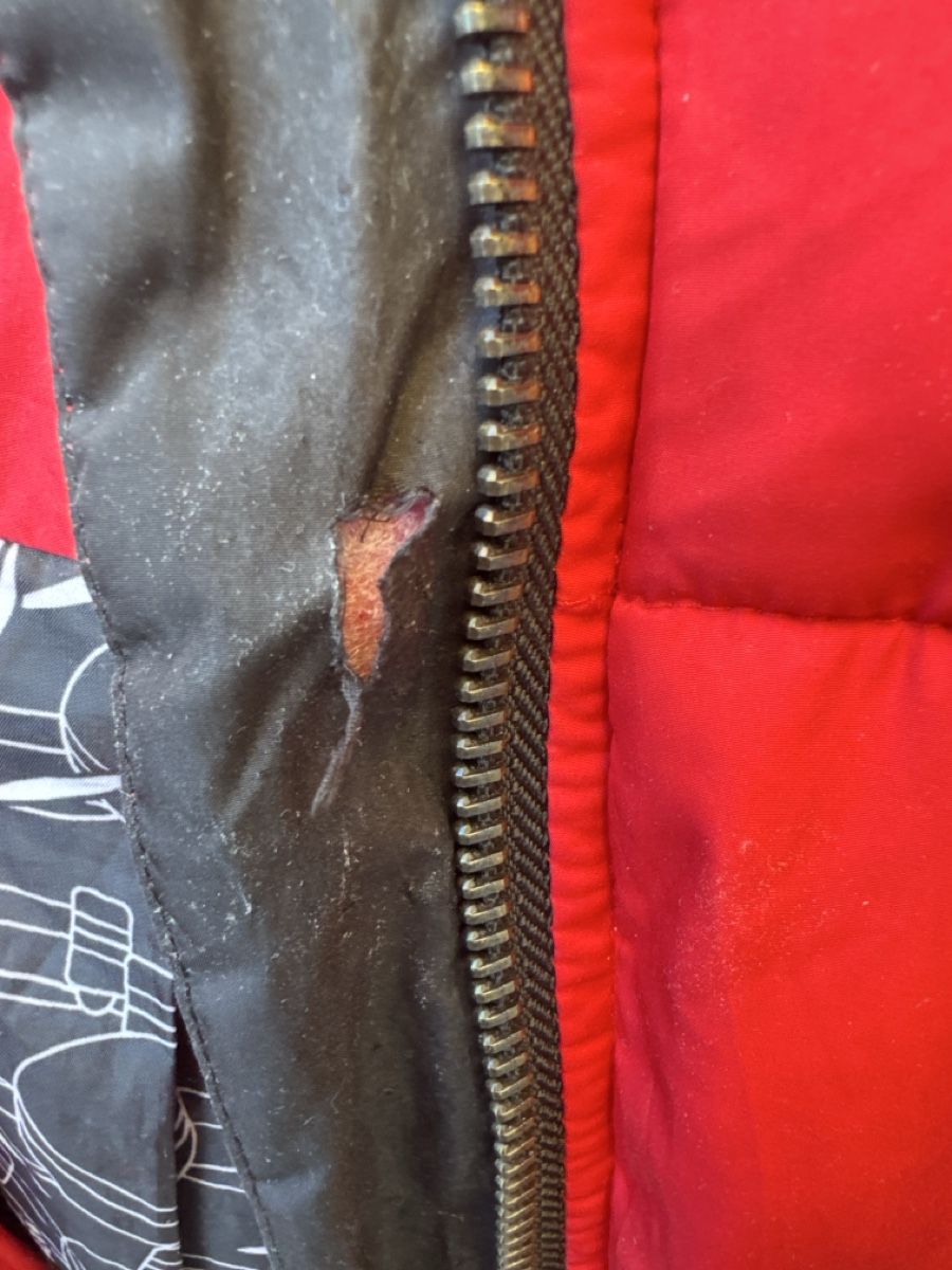 Vestes: Winterjacke gesteppt rot mit Kapuze – D'occasion à Reinach BL par jessihome 6