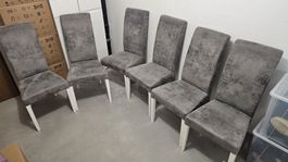 6 Esszimmerstühle 