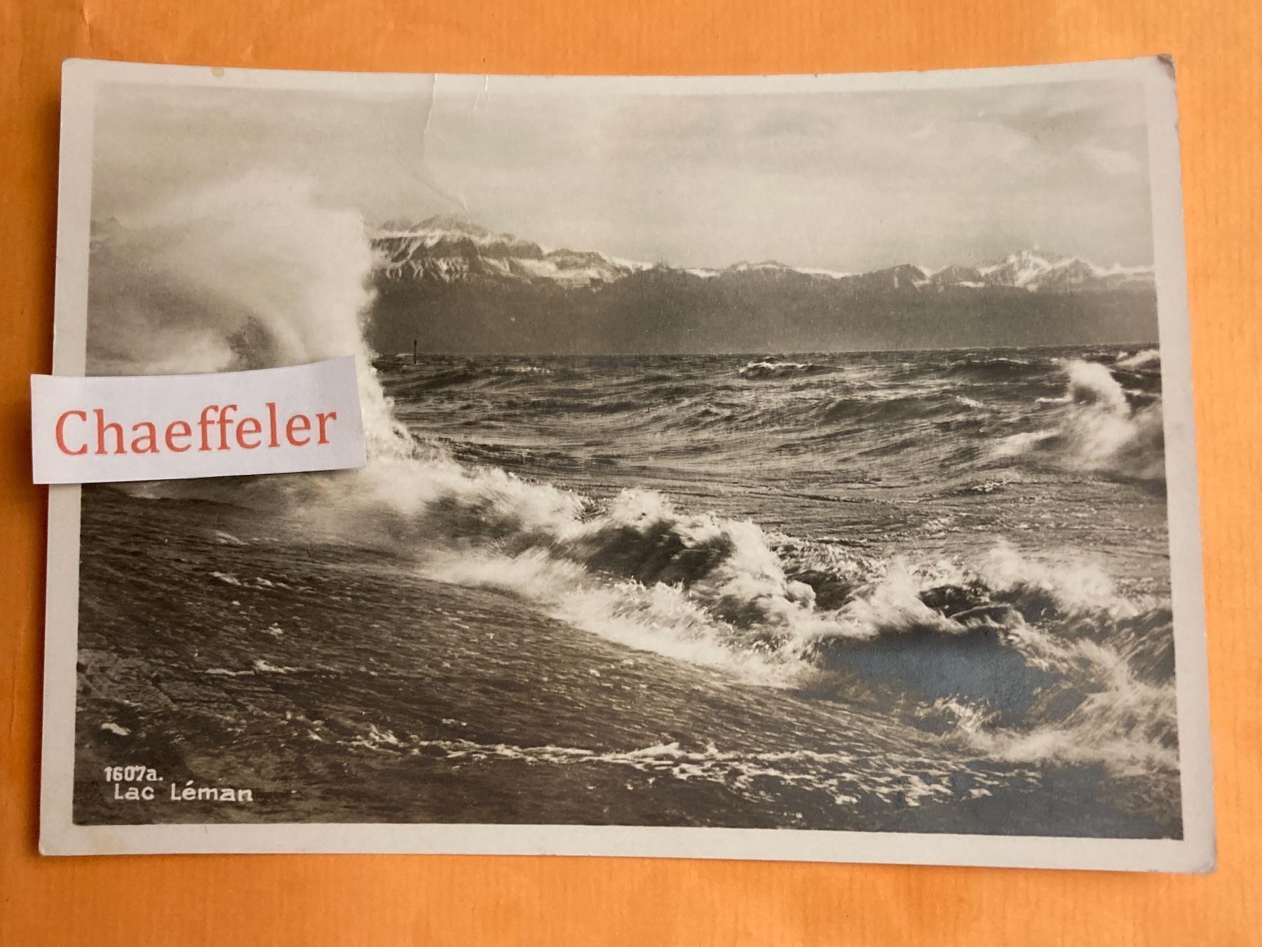 Cartoline postali: 1607a. Lac Léman – Usato da Zürich venduto da Chaeffeler