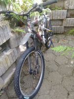 Mountainbike Arrow SD Sixteen