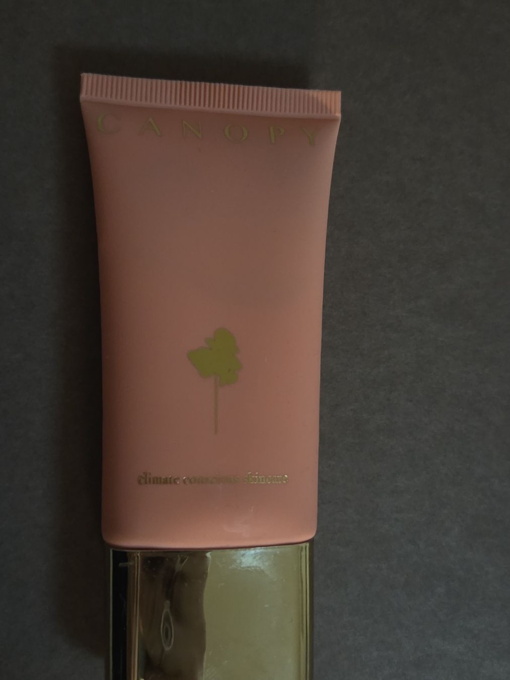 Protezione per viso e udito: Canopy Masked – Nuovo e nell'imballaggio originale da Gossau SG venduto da sar_7vt5