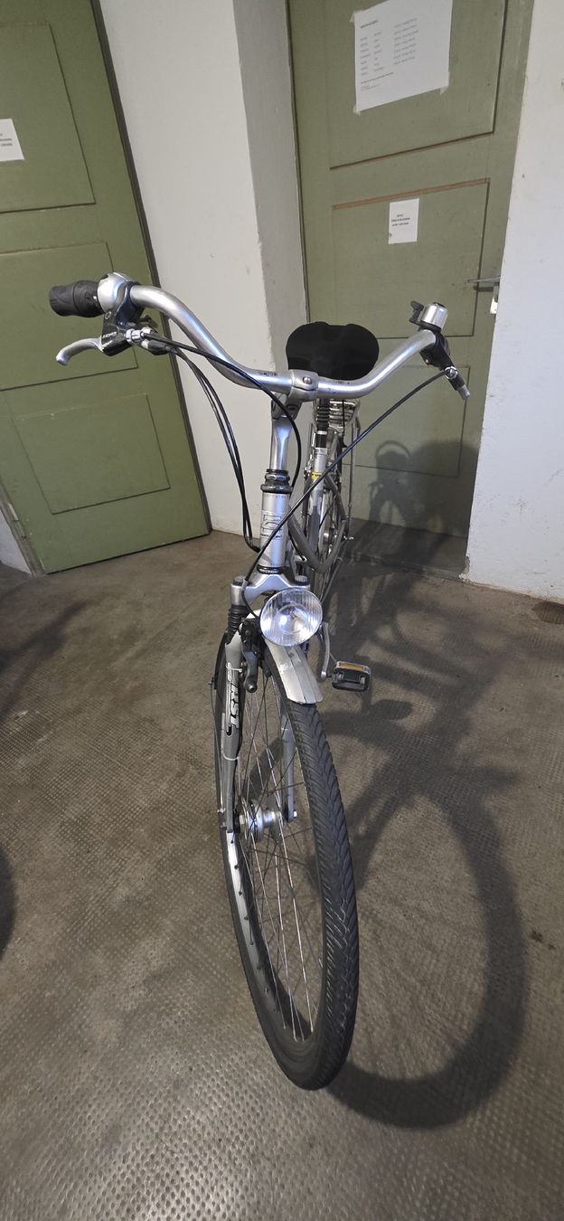 Velos: Damen Velo – Defekt aus Solothurn von mar_8qf8 1