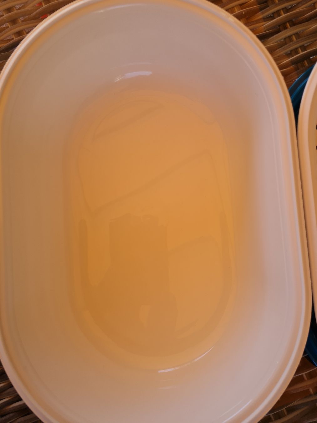 Tupperware Contenitori & Simili: Tupperware Siebservierer  oval, türkis neu – Nuovo (secondo la descrizione) da Münsingen venduto da Cuci31 2