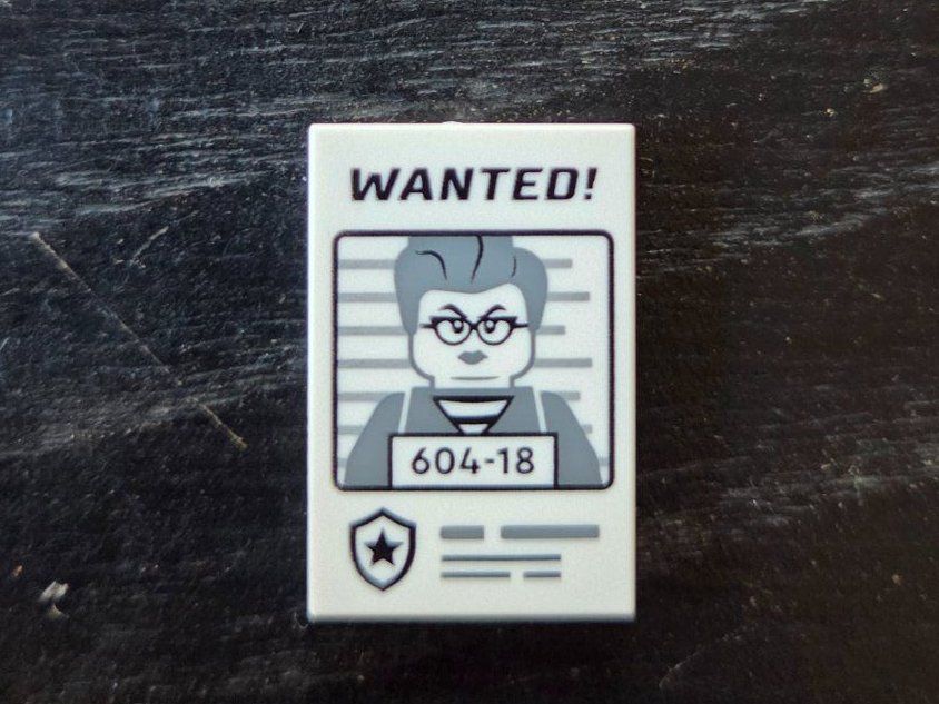 Lego Spielzeuge: Lego Platte "Wanted!" – Gebraucht aus Ringgenberg BE von jen_85 2