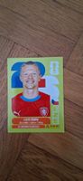 WM- Panini 2026 Sticker Lukās Červ