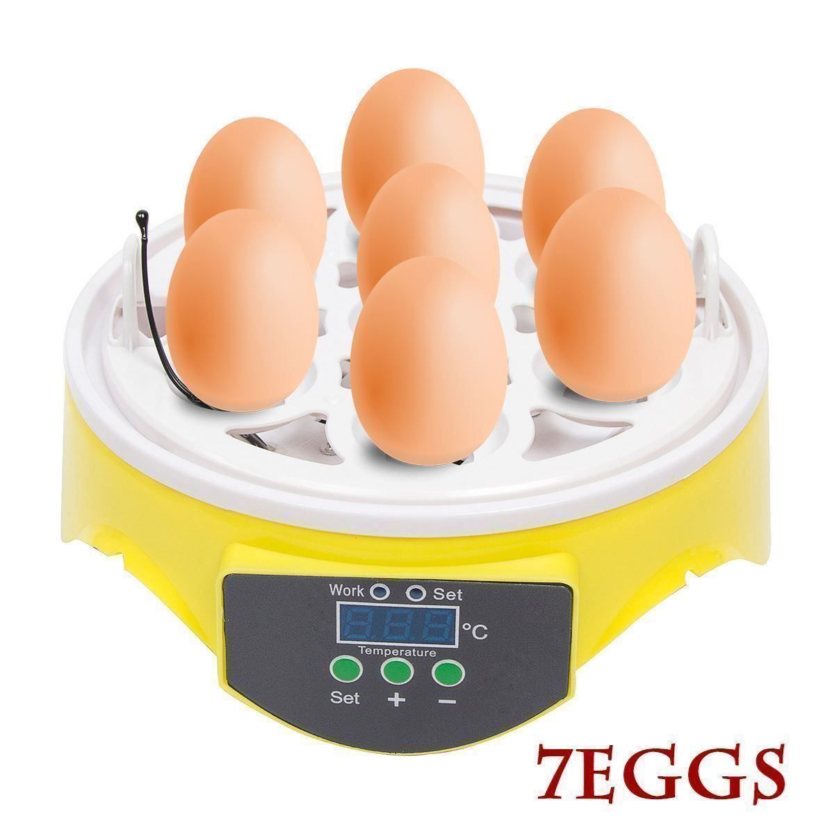 Altro in Accessori per animali: 7 Eier Intelligent Brutautomat LED Display Inkubator – Nuovo (secondo la descrizione) da Thun venduto da nuonuo 5