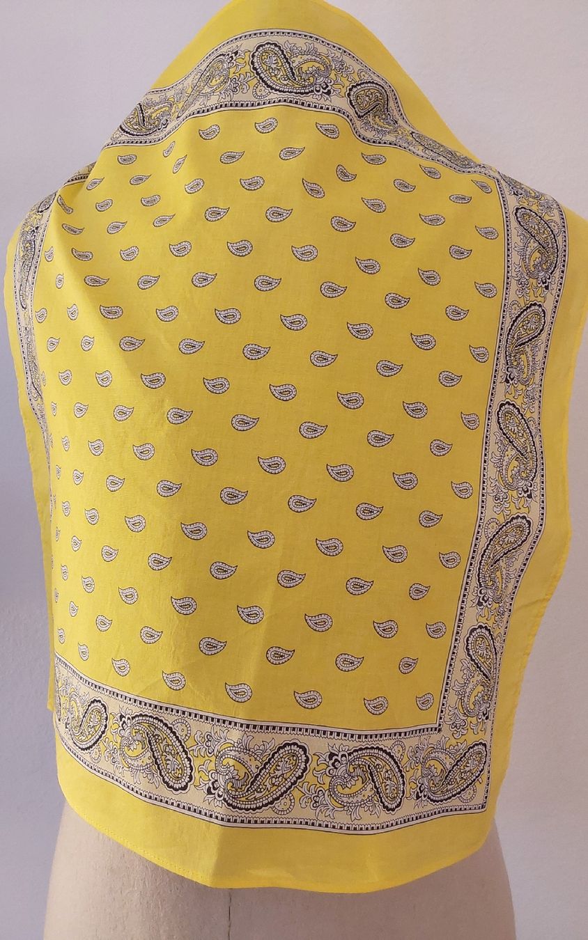 Foulards & écharpes: Original Glarner Tüechli gelb Baumwolle neu – Neuf avec emballage d'origine à Köniz par scopello12 1