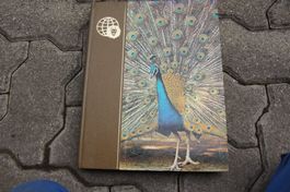 Le royaume des animaux