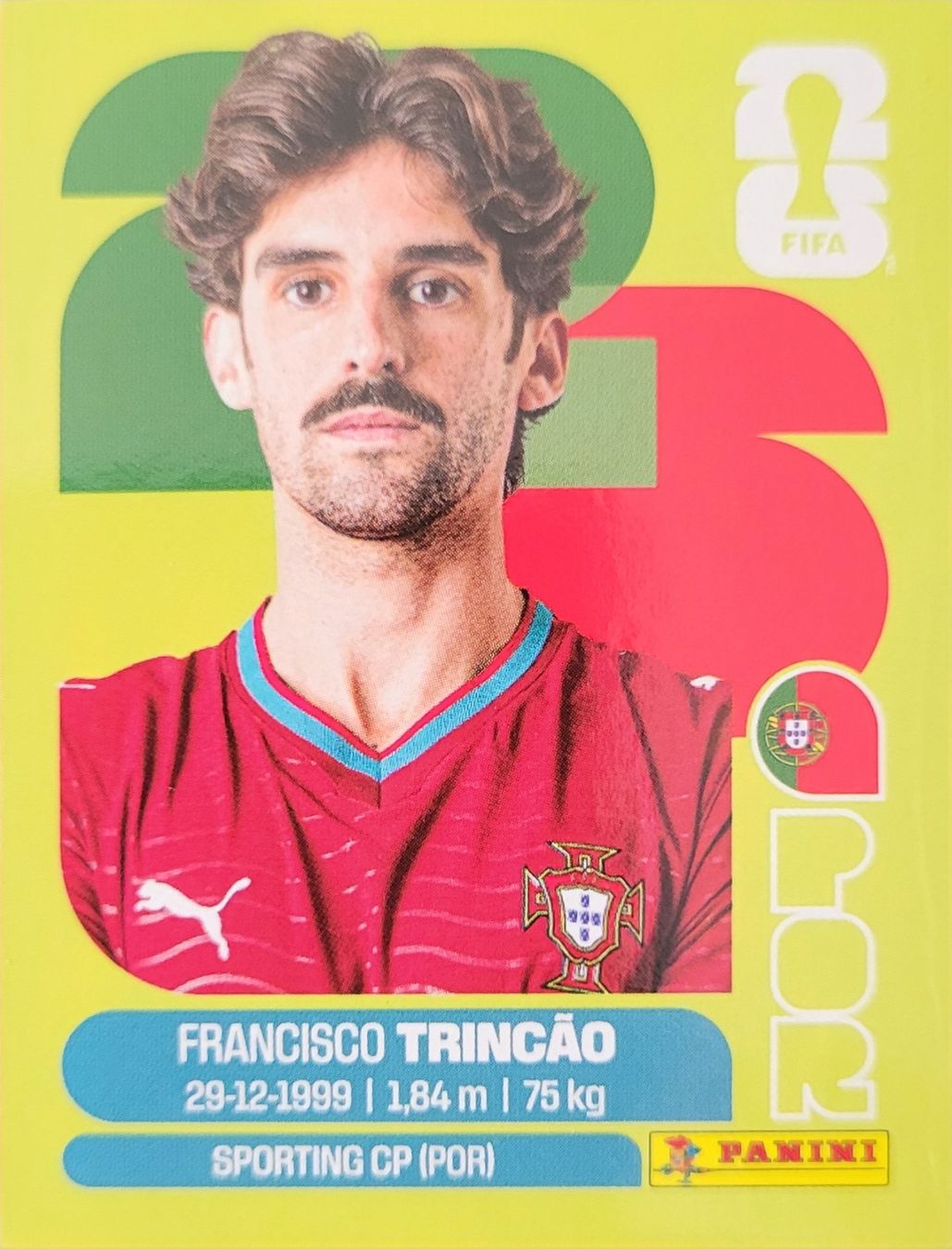 Panini Sammelbilder & Trading cards: Panini FIFA World Cup POR 16 – Neu (gemäss Beschreibung) aus Wallisellen von never_give_up