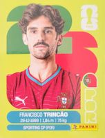 Panini FIFA World Cup POR 16