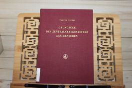 Grundzüge des Zentralnervensystems des Menschen-W.Fischel
